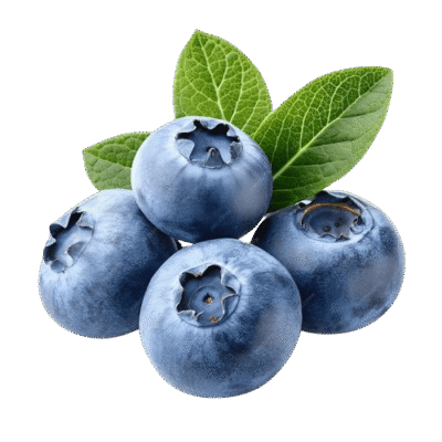 BLUEBERRY