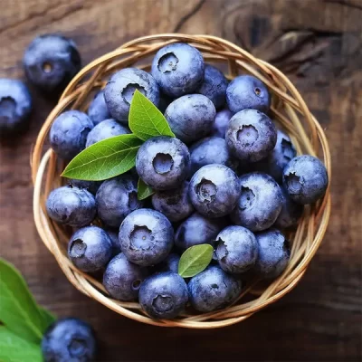 blueberry 1