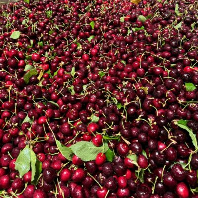 red cherry 4