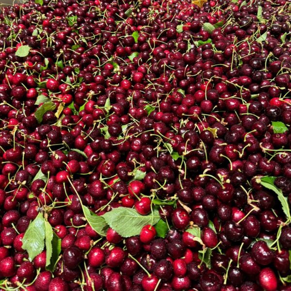 red cherry 4